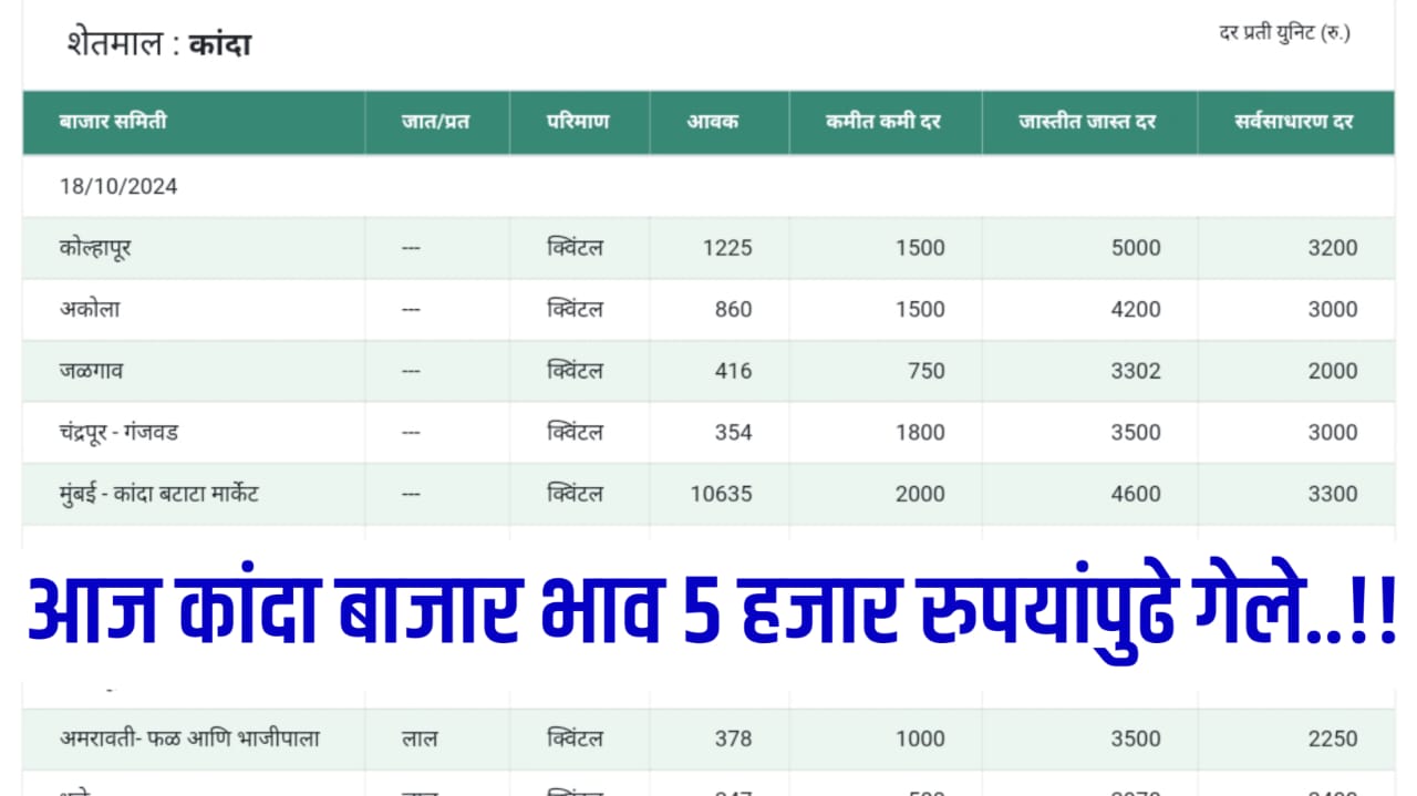 Onion Rate Today